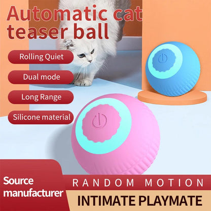 Interactive Cat Toys Ball Fast Rolling in Pouch Hide and Seek Kitten Toy Motion Activated Interactive Cat Toy for Indoor New