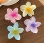 2/4/6pcs Fashion Women Flower Hair Claws Hawaiian Gradient Hair Clips Vacation Beach Style Hairpins Hair Accessories ﻿