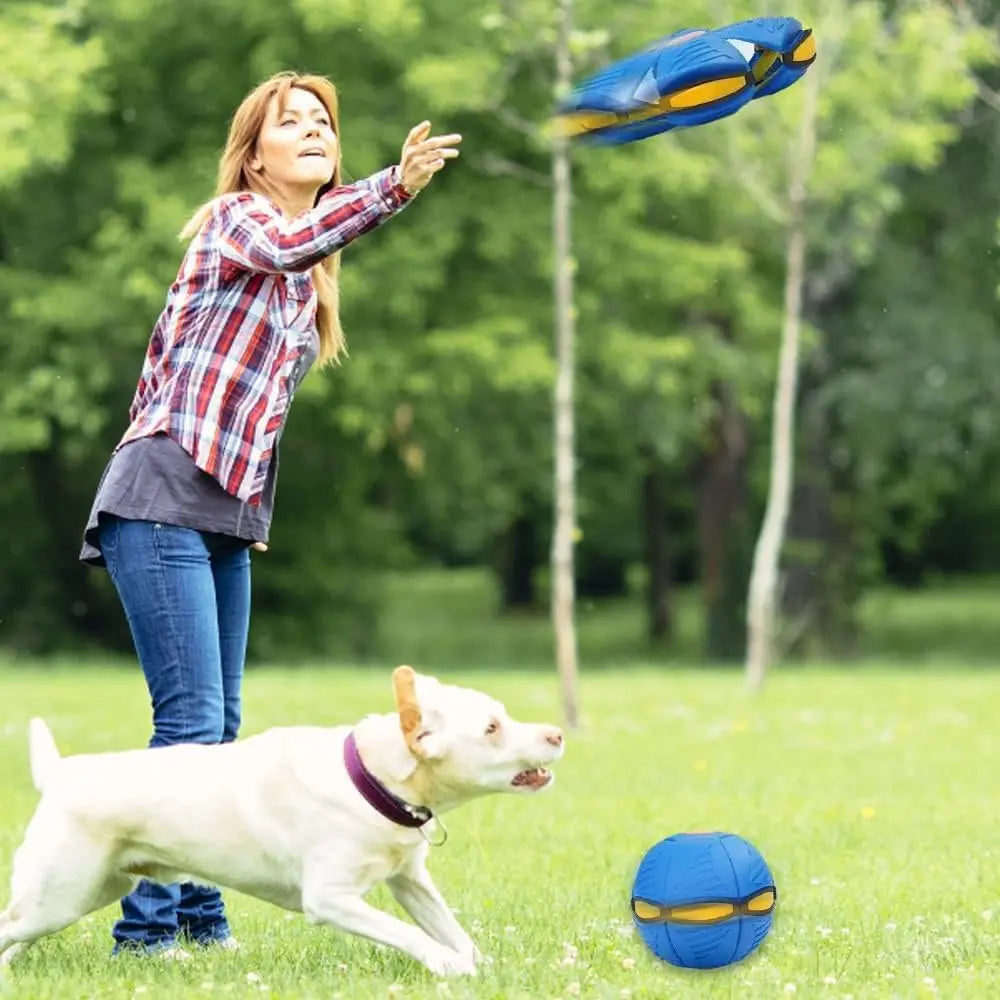 Dog UFO Ball Enhances Interaction and Exercise Magical Dog UFO Ball Creativity Dog UFO Ball Suitable for Dogs of All Sizes