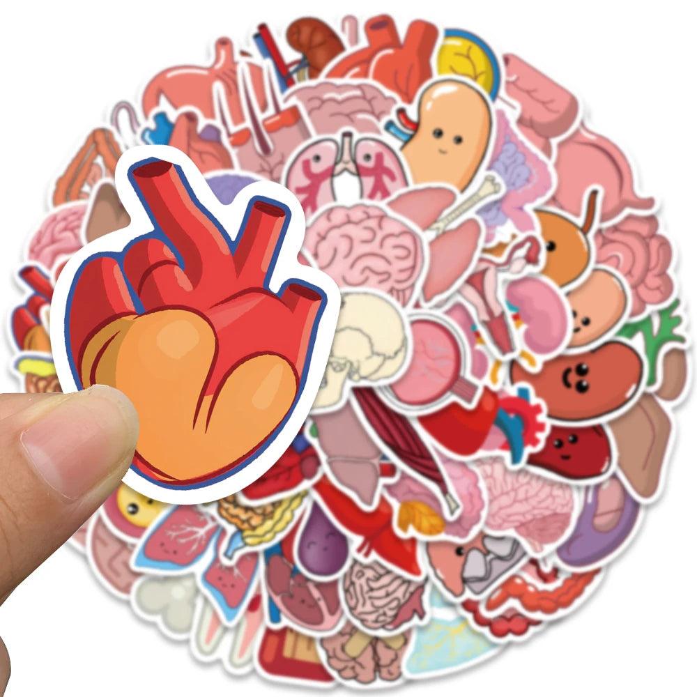 65PCS Cartoon Human Organ Cute Medical Anatomy Sticker Laptop Bicycle Guitar Phone Kid Toy DIY Graffiti Waterproof Stickers