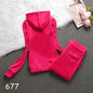 Women's Tracksuit Set 2024 Spring/Fall Women's Hooded Sweatshirt and Pants Sets Two Piece Set