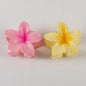 2/4/6pcs Fashion Women Flower Hair Claws Hawaiian Gradient Hair Clips Vacation Beach Style Hairpins Hair Accessories ﻿