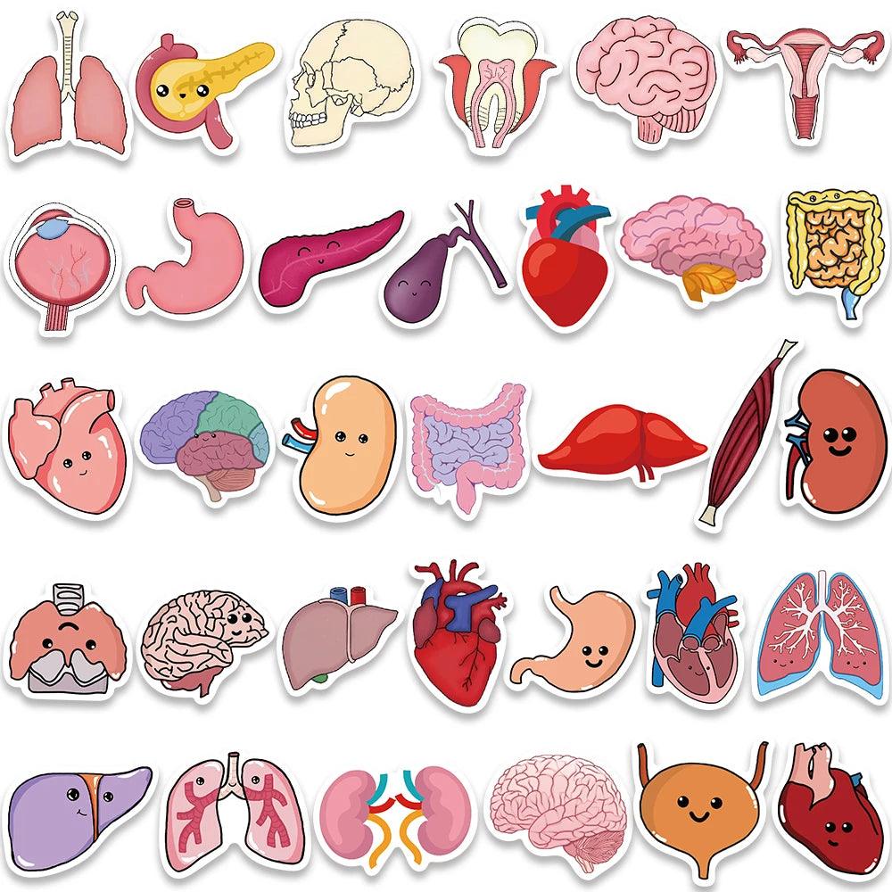 65PCS Cartoon Human Organ Cute Medical Anatomy Sticker Laptop Bicycle Guitar Phone Kid Toy DIY Graffiti Waterproof Stickers