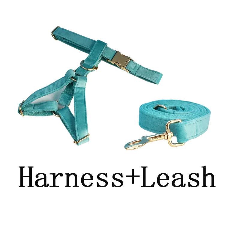 Turquoise Stone Velvet Dog Collar And Leash Set For Dogs Custom Engraved Nameplate Pet Supplies Dog Leash Velvet 40