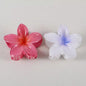 2/4/6pcs Fashion Women Flower Hair Claws Hawaiian Gradient Hair Clips Vacation Beach Style Hairpins Hair Accessories ﻿