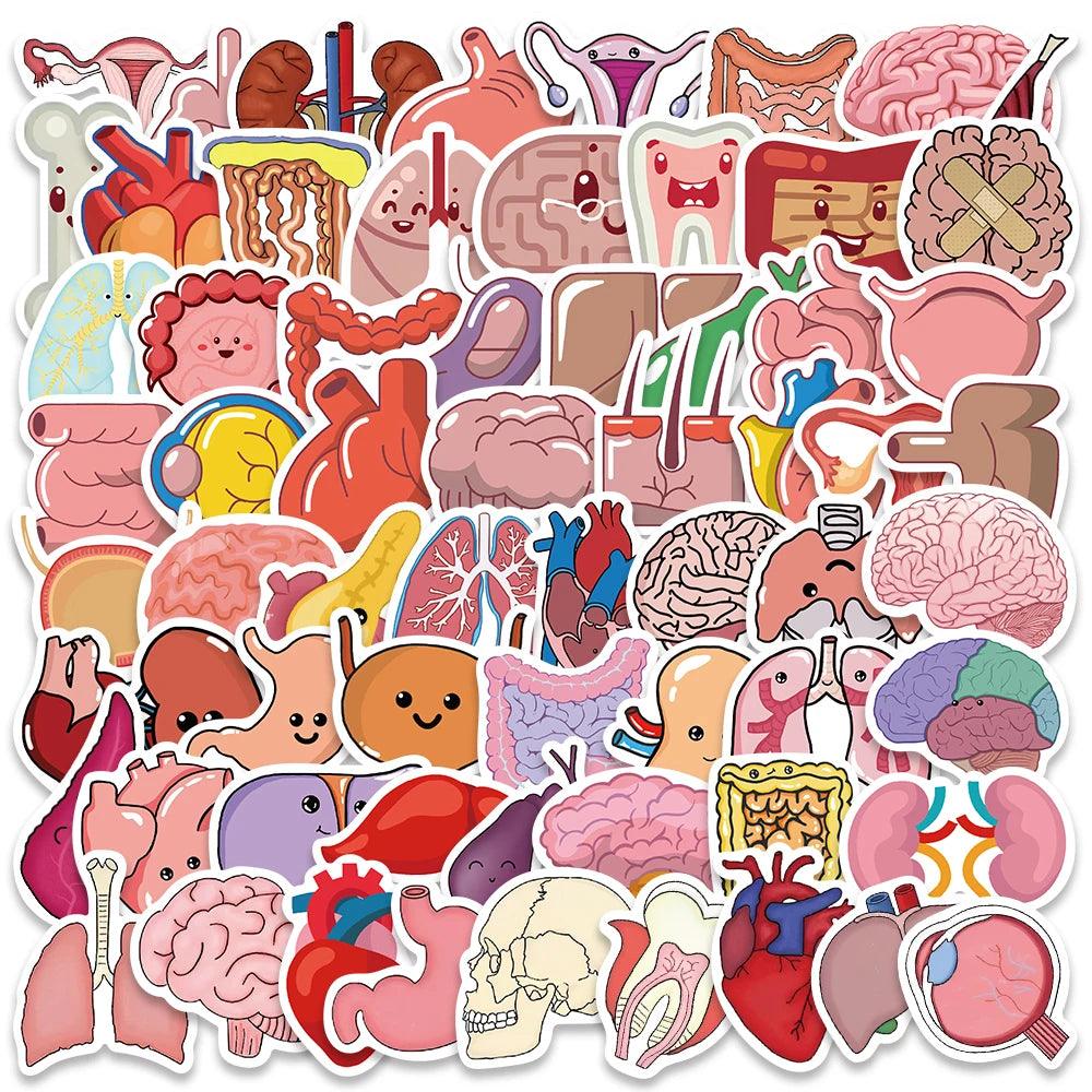 65PCS Cartoon Human Organ Cute Medical Anatomy Sticker Laptop Bicycle Guitar Phone Kid Toy DIY Graffiti Waterproof Stickers