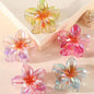 2/4/6pcs Fashion Women Flower Hair Claws Hawaiian Gradient Hair Clips Vacation Beach Style Hairpins Hair Accessories ﻿