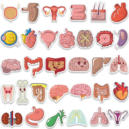 65PCS Cartoon Human Organ Cute Medical Anatomy Sticker Laptop Bicycle Guitar Phone Kid Toy DIY Graffiti Waterproof Stickers