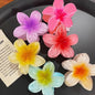 2/4/6pcs Fashion Women Flower Hair Claws Hawaiian Gradient Hair Clips Vacation Beach Style Hairpins Hair Accessories ﻿